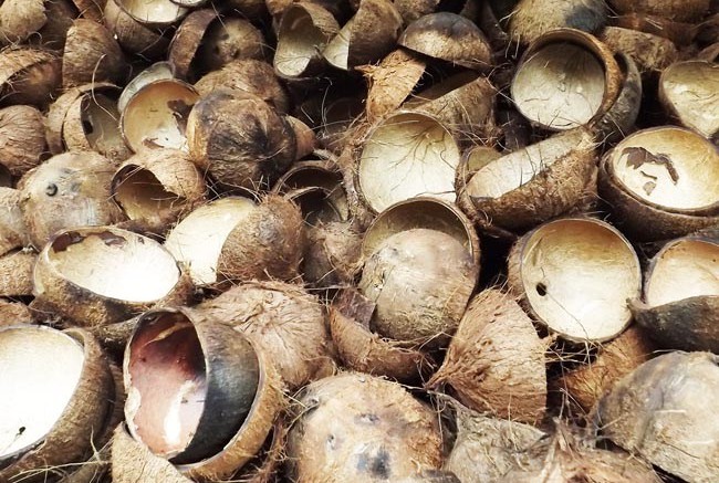 choconut shell